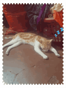 Catsleep GIF - Catsleep GIFs