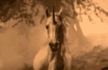 a unicorn with a horn is standing in a field in a sepia tone photo .
