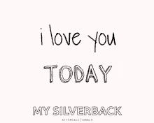 I Love You My Silverback GIF - I Love You My Silverback GIFs