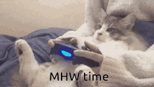 Mhw Time GIF - Mhw Time GIFs