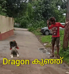 Dragon Kunj Adarshrajpkd GIF