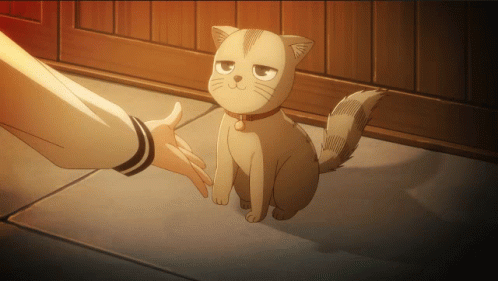 Top 30 Anime Cat Gif GIFs  Find the best GIF on Gfycat