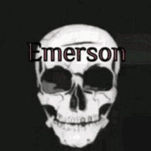 Emerson666 GIF - Emerson666 GIFs