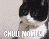 a black and white cat with the words " gnull moment " written below it