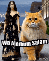 a woman in a black dress stands next to a large cat that says wa alaikum salam