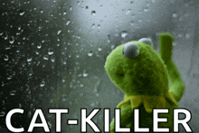 a kermit the frog looking out a window with the words cat-killer written below him