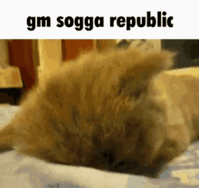 Sogga Republic Gm Sogga Republic GIF - Sogga Republic Gm Sogga Republic Sogga GIFs