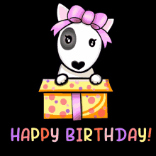 birthday birthday wishes bull terrier bull terrier birthday dog birthday