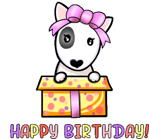 Birthday Birthday Wishes Sticker - Birthday Birthday Wishes Bull Terrier Stickers