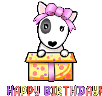 Birthday Birthday Wishes Sticker - Birthday Birthday Wishes Bull Terrier Stickers