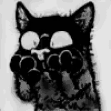Cat Blinking GIF - Cat Blinking Shocked GIFs