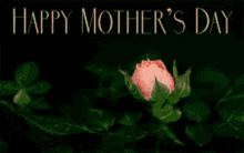 happy mothers day mothers day moms day greeting blooming flower