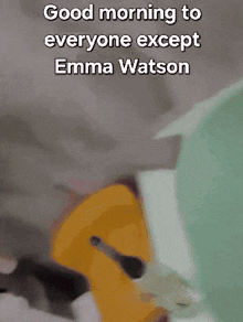 Emma Watson Tamir Kitan GIF