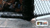 an advertisement for 2 shots in every can shows a cage fight