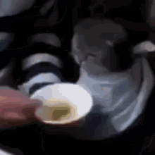 Cat Eating Soup GIF - Cat Eating Soup GIFs