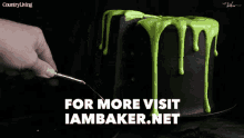 Iambaker Slime Cake GIF - Iambaker Slime Cake Slice GIFs