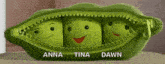 a stuffed peas pod with three peas inside of it and the names anna , tina , and dawn on it .