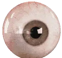 a close up of a person 's eye with a brown pupil