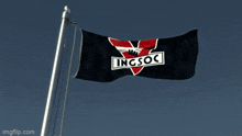 Ingsoc Flag GIF - Ingsoc Flag GIFs
