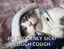 a cat with a thermometer around its neck and the words i 'm suddenly sick cough cough