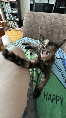 a cat yawning on a blanket that says happy