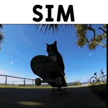 Skate Kanji Cat GIF - Skate Kanji Cat GIFs