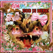 a picture of a cat with the words god is here