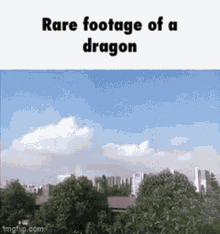 sighting sight footage rare dragon