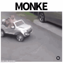 Monke Monke Car GIF