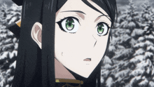 a girl with long black hair and green eyes is standing in front of snow covered trees