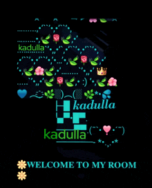 a black background with the words welcome to my room