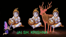 Jai Sh Krishna Fly GIF - Jai Sh Krishna Fly Fairy GIFs