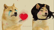 a dog holding a heart next to another dog with the words knowyourlie written on the bottom
