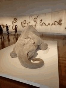 elephant art artgallery goma modernart