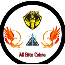 Ak Elite Cobra GIF - Ak Elite Cobra GIFs