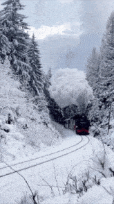 зима природа GIF - зима природа снег GIFs
