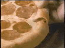 Little Caesars Stuffed Crust Pepperoni And Cheese Pizza GIF