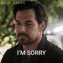 I'M Sorry Cole Ellis GIF - I'M Sorry Cole Ellis Wild Cards GIFs