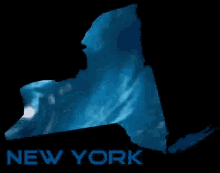 Blue Wave New York GIF - Blue Wave New York Water GIFs