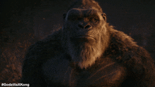 Shocked Kong GIF - Shocked Kong Godzilla X Kong The New Empire GIFs