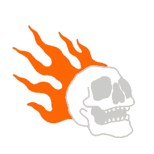 skull burning burnt brains on fire