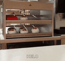 a bunch of hamburgers are sitting on a shelf and the word helo is on the bottom