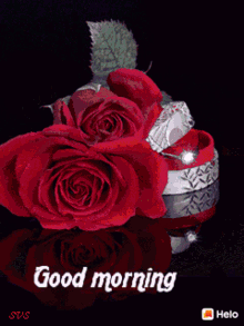 Good Morning GIF - Good Morning Love - Discover & Share GIFs
