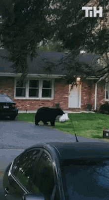 Stealing This Is Happening GIF - Stealing This Is Happening Bear GIFs