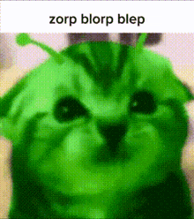 a close up of a green cat with the words zorp blorp blep written above it
