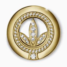 Herbalife Nutrition Recognition Pin GIF