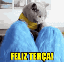 Feliz Terça / Terça Feira / Dancinha / Gatinho / Pompoms GIF - Cat Happy Tuesday Tuesday GIFs