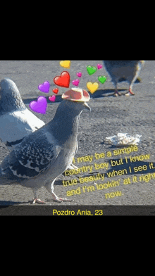 a pigeon wearing a hat with hearts and a quote from pozdro ania 23