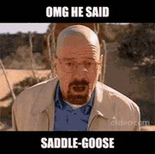 saddlegoose saddle goose breaking bad