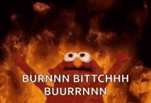 elmo from sesame street is on fire and says burnnn bittchhh buurrnnn .